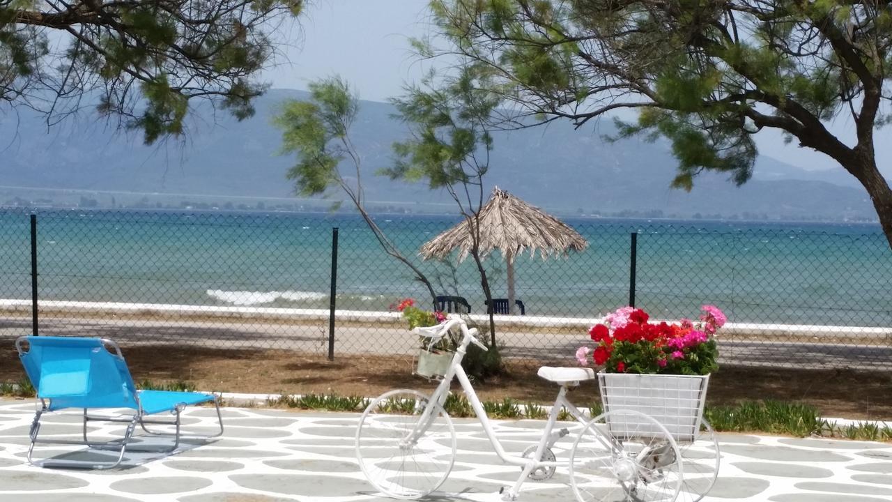 Villa Zoi Thronion 外观 照片